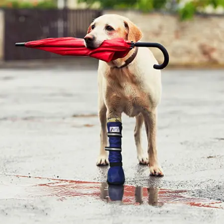 MPS - Veterinary Range Boot