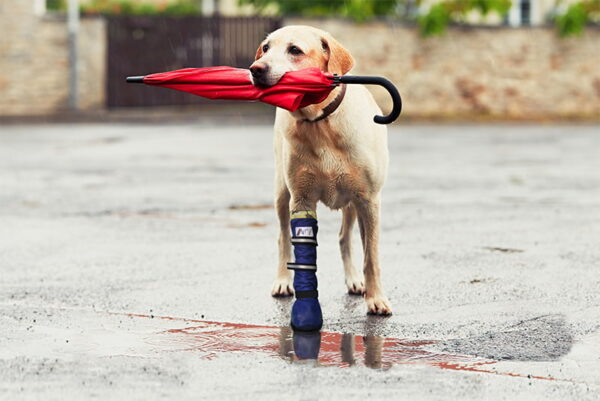 MPS - Veterinary Range Boot