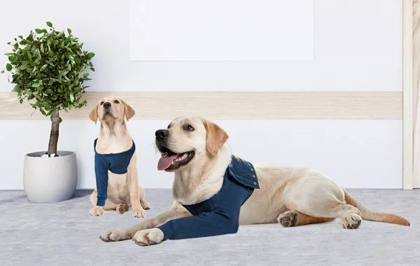 MPS - Veterinary Range Single Sleeve DOG - Image 9