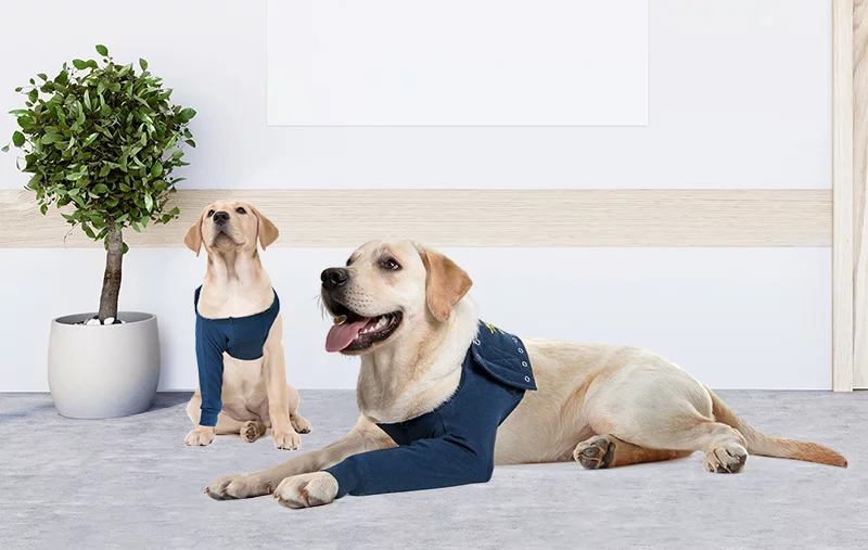 MPS - Veterinary Range Single Sleeve DOG - Image 9