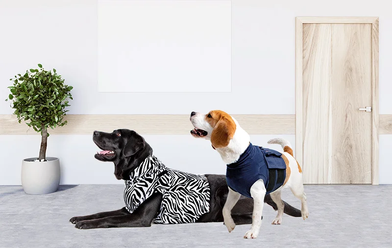 MPS - Veterinary Range Shirt 4 in 1 DOG - 4 in 1 medical recovery shirt for dogs. - TOP-MPS-1 MPS - Veterinary Range Shirt 4 in 1 DOG - Image 11