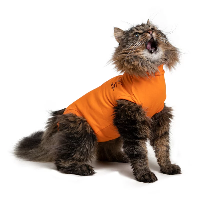 MPS - Veterinary Range Shirt CAT - Image 19