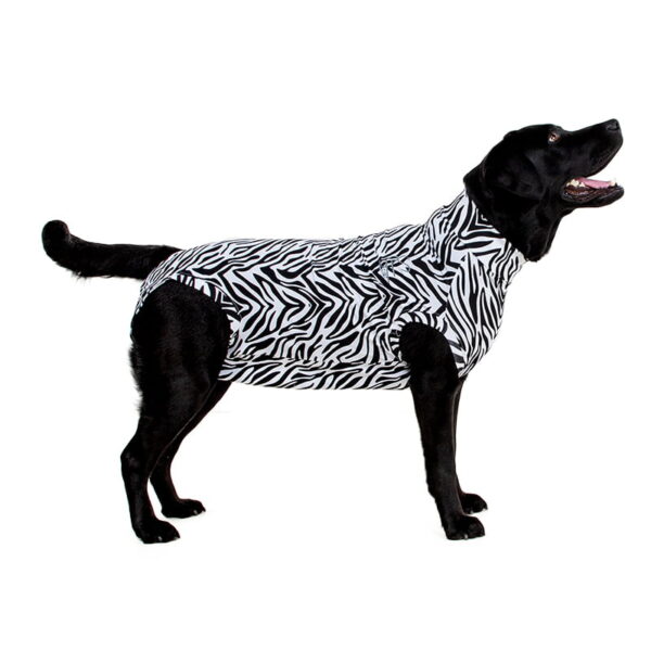 MPS - Veterinary Range Shirt DOG - Image 2