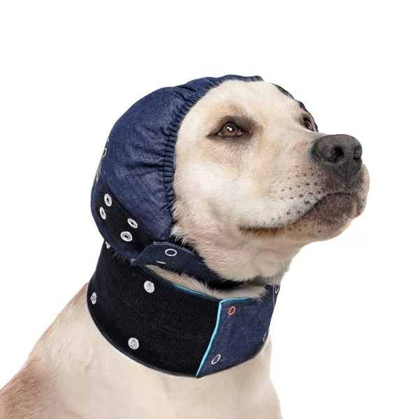 MPS - Veterinary Range Head DOG - Image 15