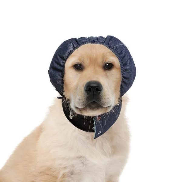 MPS - Veterinary Range Head DOG - Image 16
