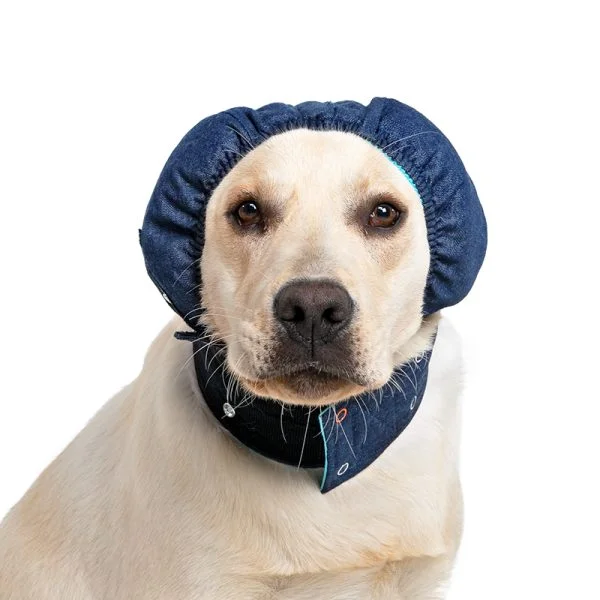 MPS - Veterinary Range Head DOG - Image 18