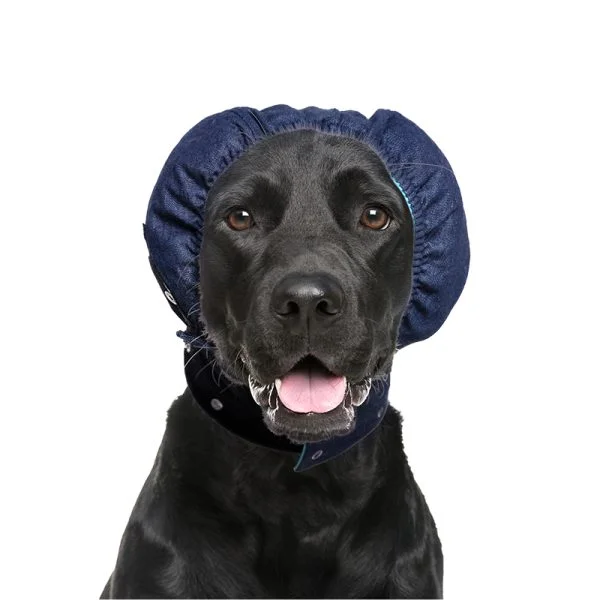 MPS - Veterinary Range Head DOG - Image 19