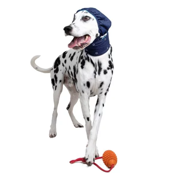 MPS - Veterinary Range Head DOG - Image 2
