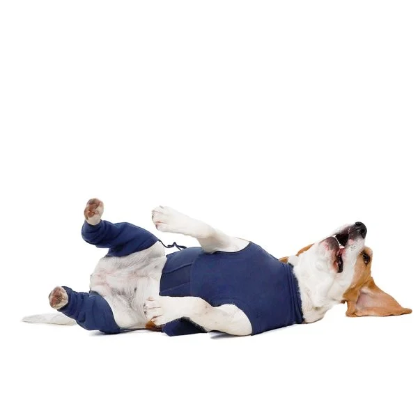 MPS - Veterinary Range Hind Leg Sleeves DOG - Image 15
