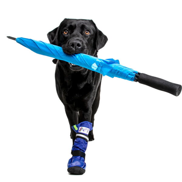 MPS - Veterinary Range Boot - Image 13