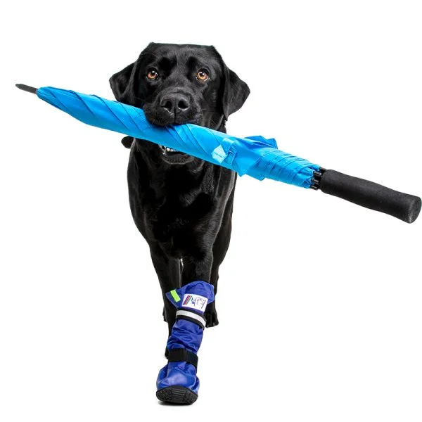 MPS - Veterinary Range Boot - Image 13