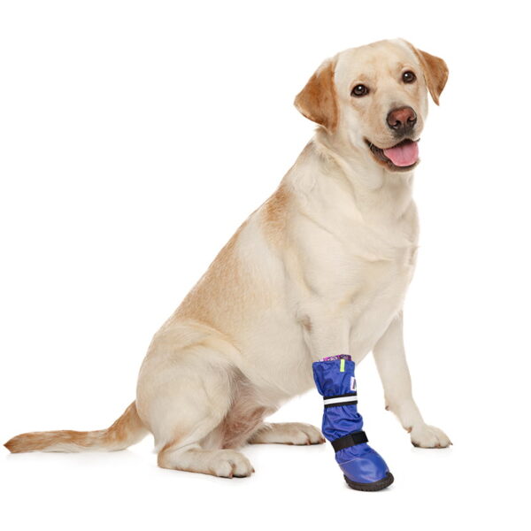 MPS - Veterinary Range Boot - Image 15