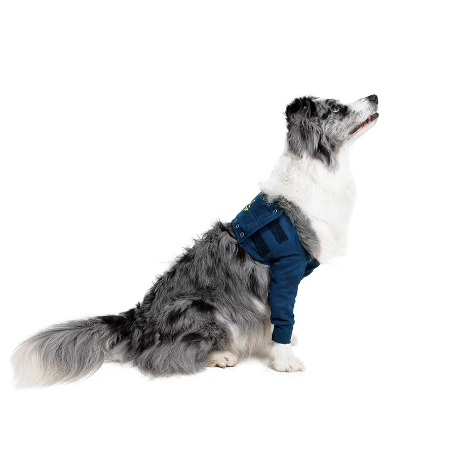 MPS - Veterinary Range Single Sleeve DOG - Image 13