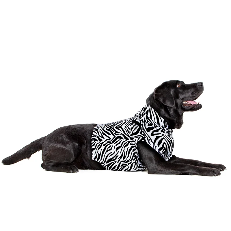 MPS - Veterinary Range Shirt 4 in 1 DOG - 4 in 1 medical recovery shirt for dogs. - TOP-MPS-1 MPS - Veterinary Range Shirt 4 in 1 DOG - Image 20