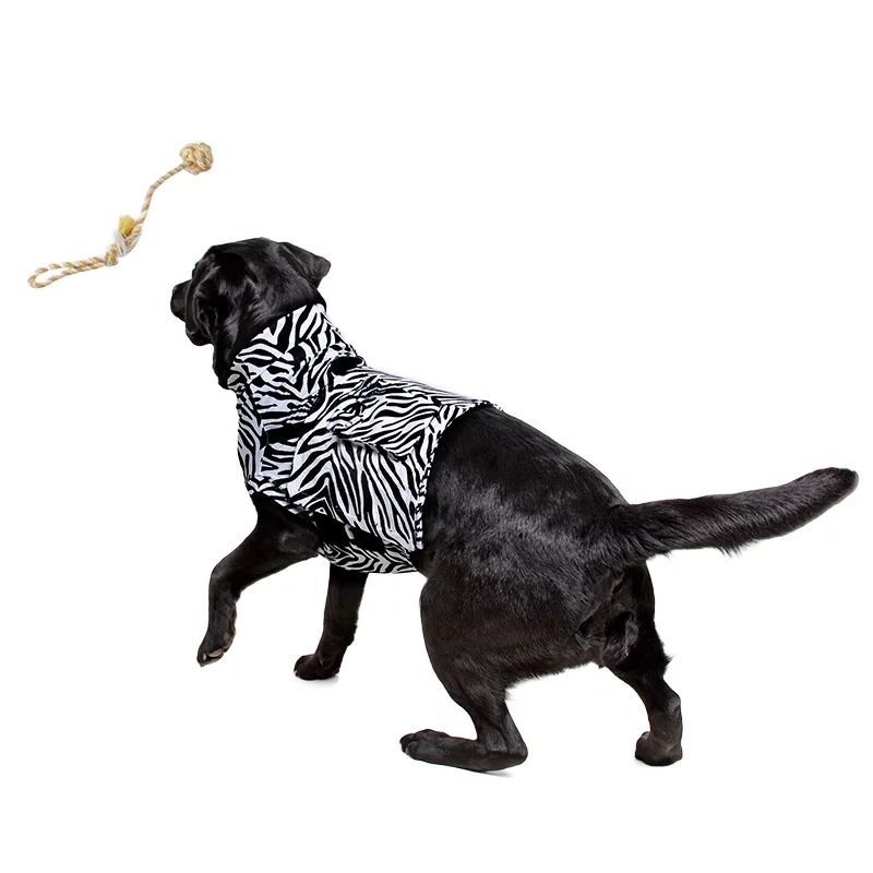 MPS - Veterinary Range Shirt 4 in 1 DOG - 4 in 1 medical recovery shirt for dogs. - TOP-MPS-1 MPS - Veterinary Range Shirt 4 in 1 DOG - Image 21