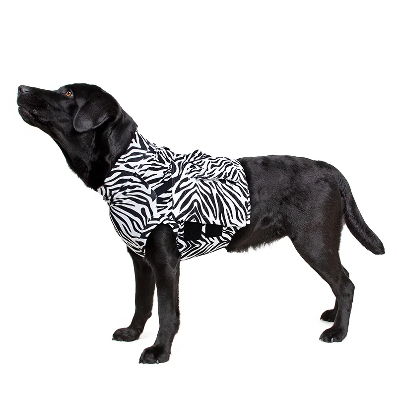 MPS - Veterinary Range Shirt 4 in 1 DOG - 4 in 1 medical recovery shirt for dogs. - TOP-MPS-1 MPS - Veterinary Range Shirt 4 in 1 DOG - Image 2