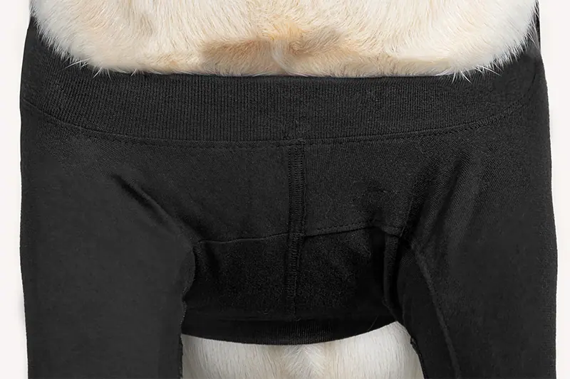 Suitical - at home Recovery Double Sleeve - DOG - Image 3