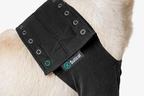 Suitical - at home Recovery Double Sleeve - DOG - Image 4