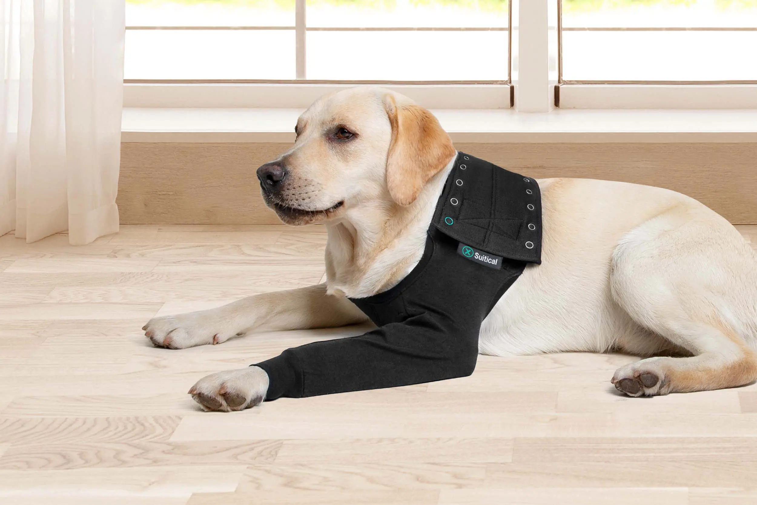 Suitical - at home Recovery Sleeve - DOG - Image 3
