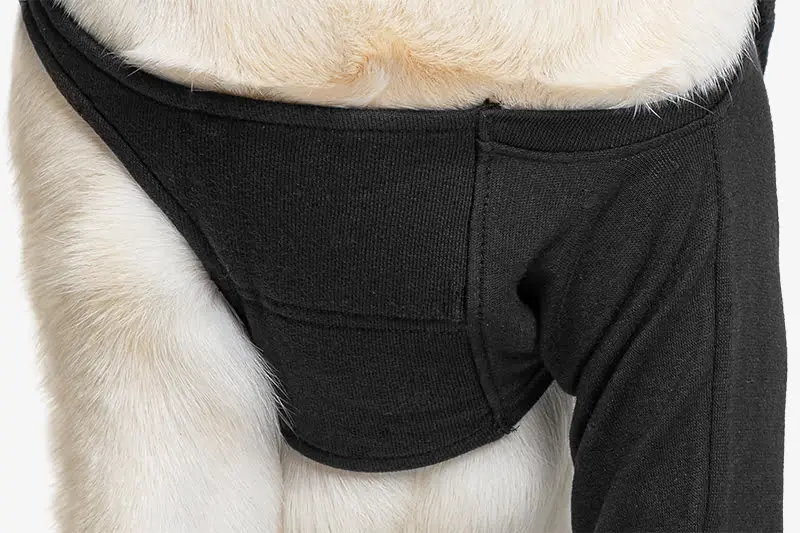 Suitical - at home Recovery Sleeve - DOG - Image 4