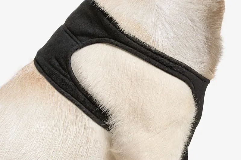 Suitical - at home Recovery Sleeve - DOG - Image 6