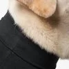 Suitical - At home Recovery Suit - DOG - Image 13