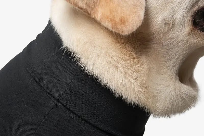 Suitical - At home Recovery Suit - DOG - Image 13