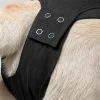 Suitical - At home Recovery Suit - DOG - Image 10