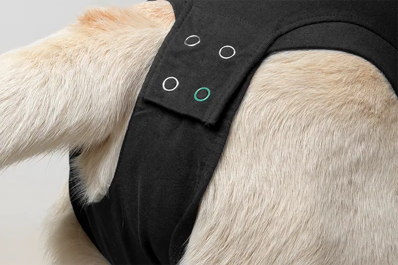 Suitical - At home Recovery Suit - DOG - Image 10