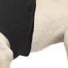 Suitical - At home Recovery Suit - DOG - Image 12