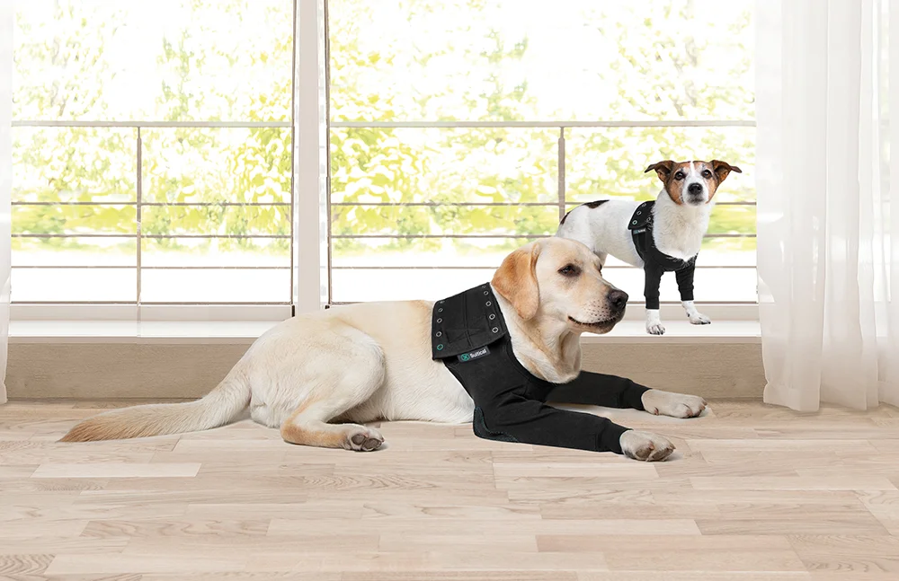 Suitical - at home Recovery Double Sleeve - DOG - Image 7