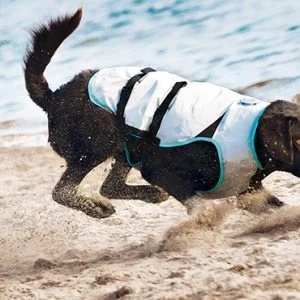 Suitical - At home Dry Cooling Vest