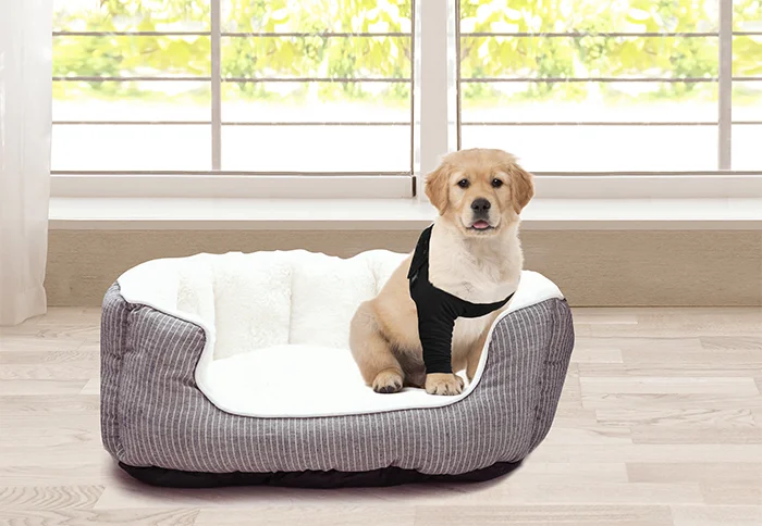 Suitical - at home Recovery Sleeve - DOG - Image 11