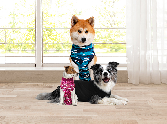 Suitical - At home Recovery Suit - DOG