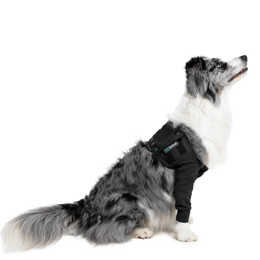 Suitical - at home Recovery Double Sleeve - DOG - Image 9