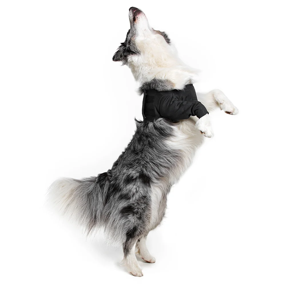 Suitical - at home Recovery Sleeve - DOG - Image 18