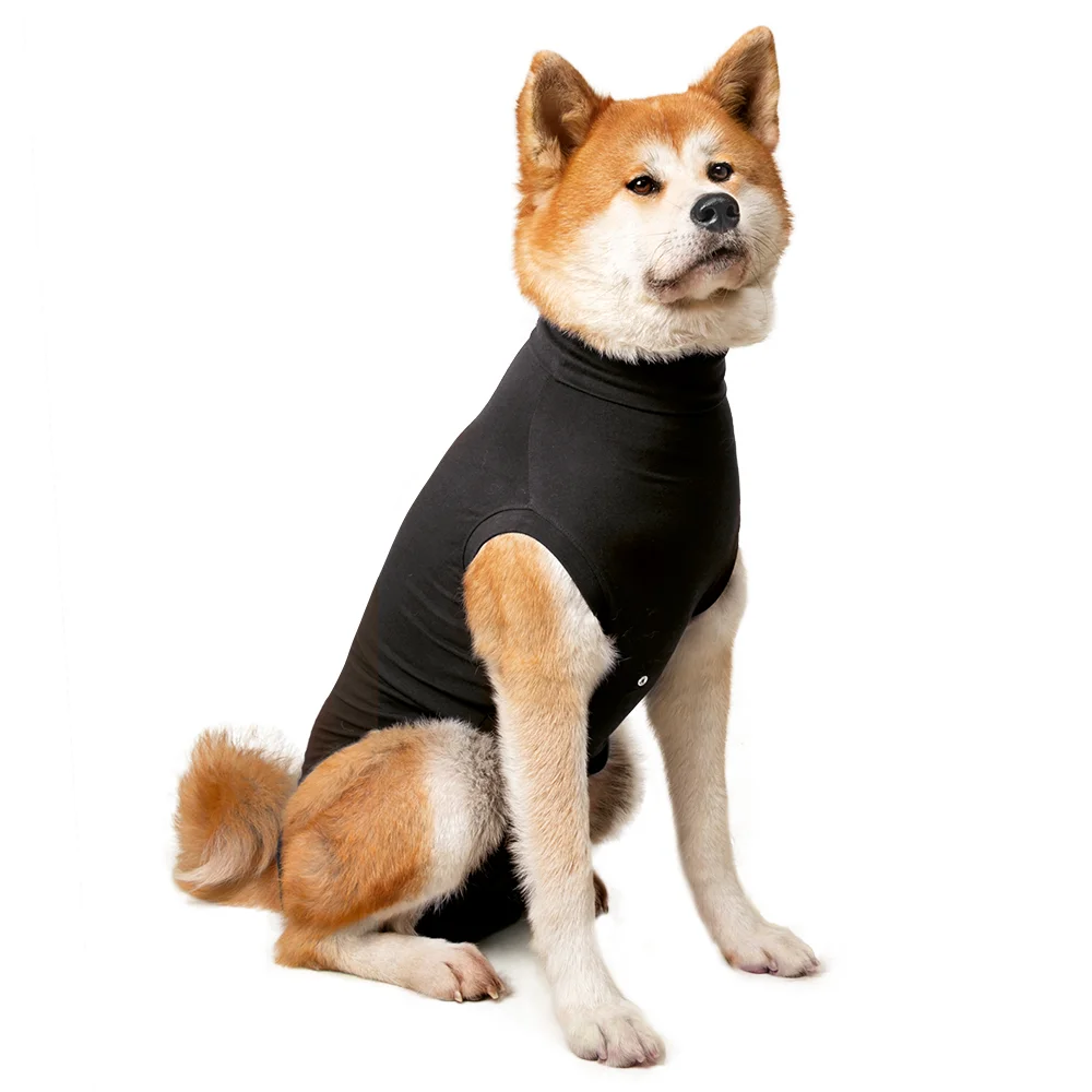 Suitical - At home Recovery Suit - DOG - Image 6