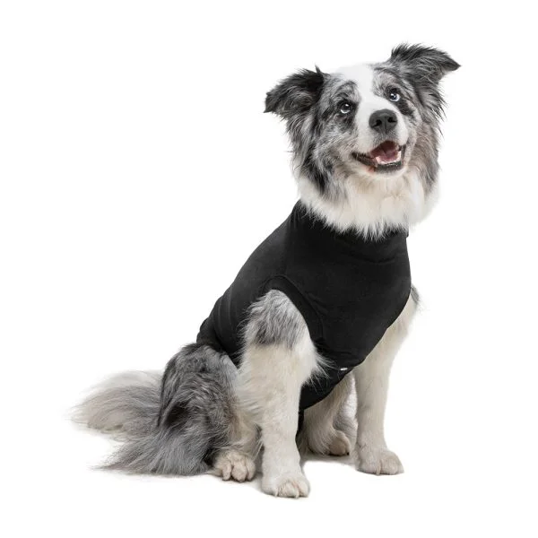 Suitical - At home Recovery Suit - DOG