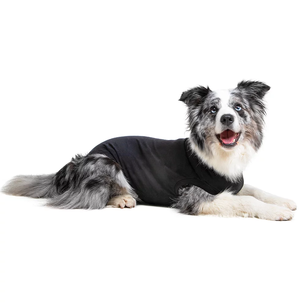 Suitical - At home Recovery Suit - DOG - Image 3