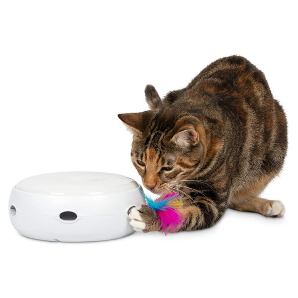 Catch that Feather pop out Play station - Image 8