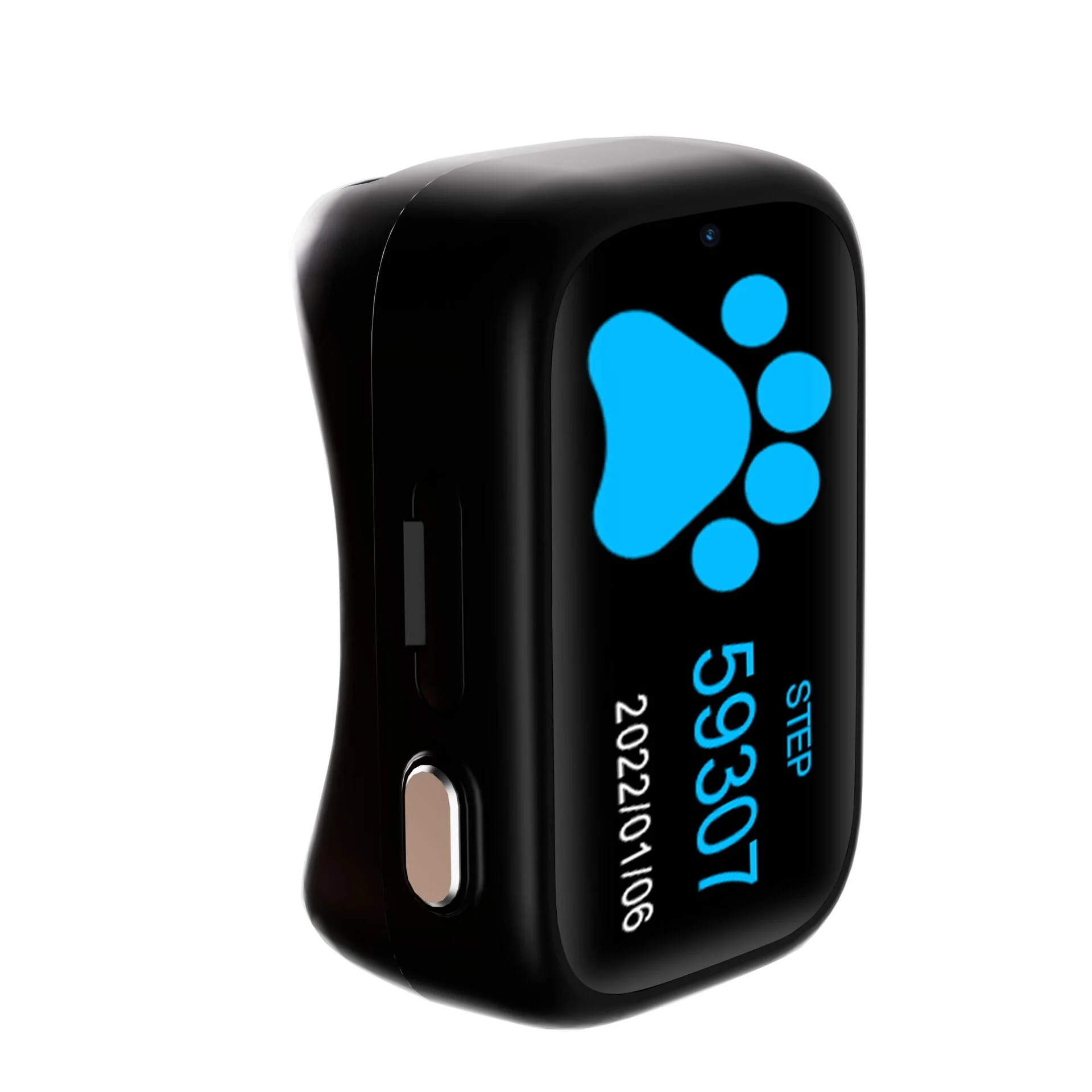 4G GPS Pet Tracker