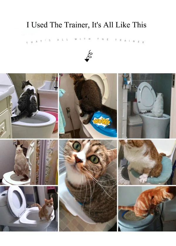 Kitty Toilet Trainer - Image 10