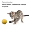 Whizz Ball - Remote Control Dog Ball - Image 3
