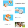 Whizz Ball - Remote Control Dog Ball - Image 12