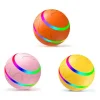 Whizz Ball - Remote Control Dog Ball - Image 11