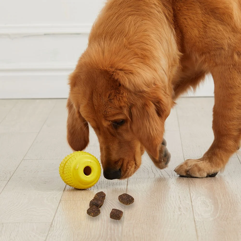 Wobbler dog toy hotsell