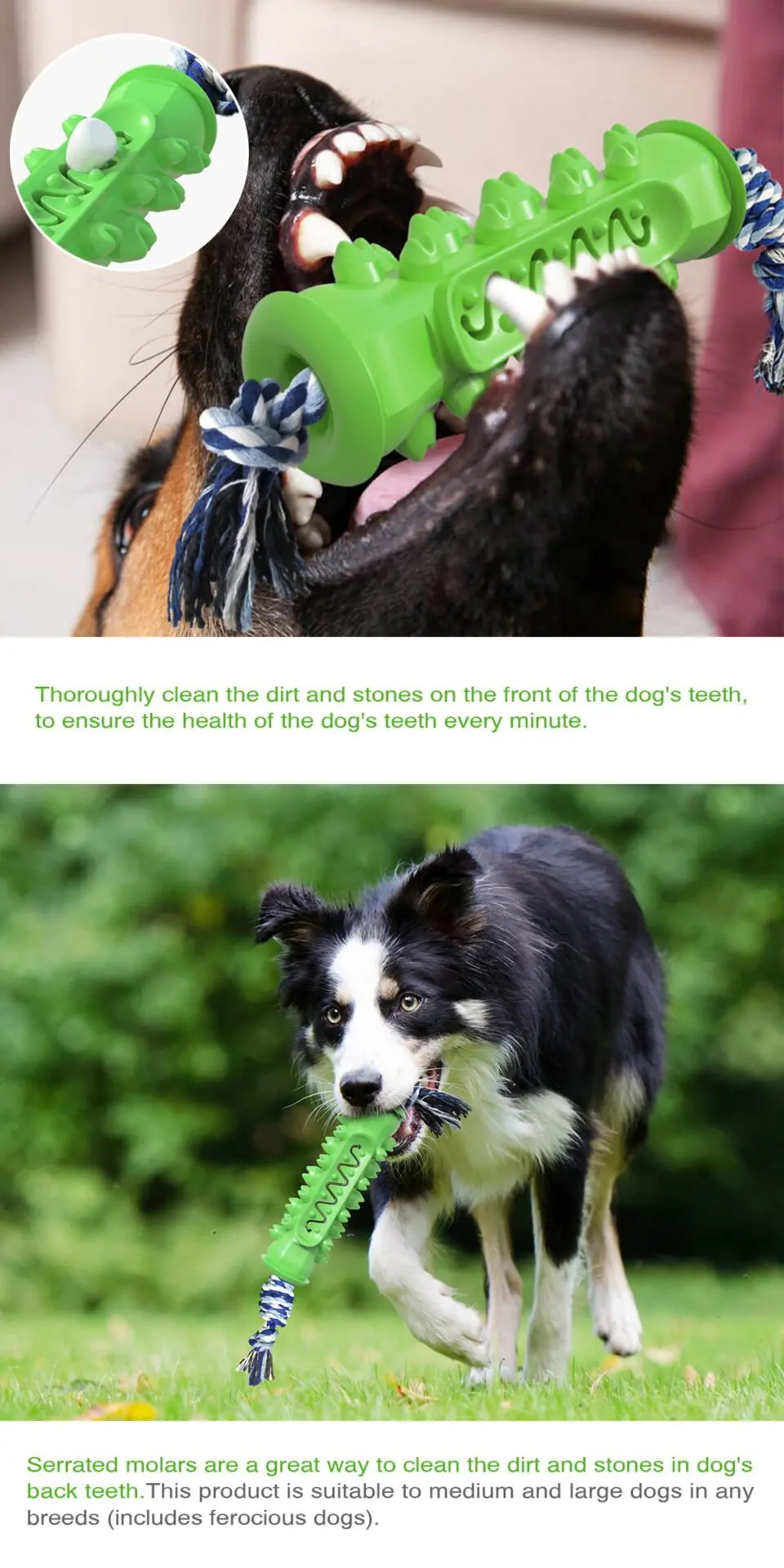 Doggie DenTug Chew Buddy - Image 4