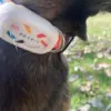 TailFit Pet Fitness & Activity Tracker - Image 10