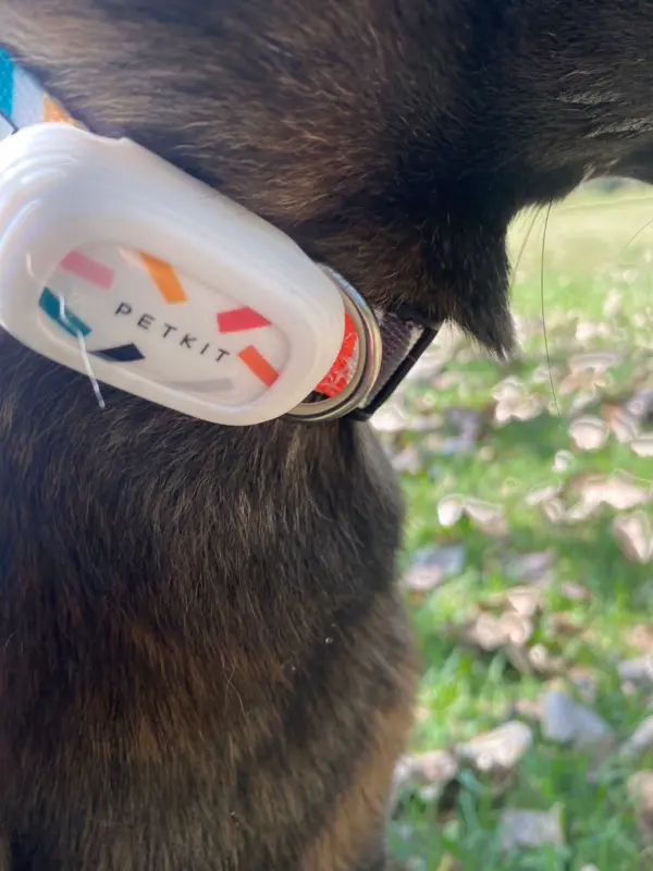 TailFit Pet Fitness & Activity Tracker - Image 10