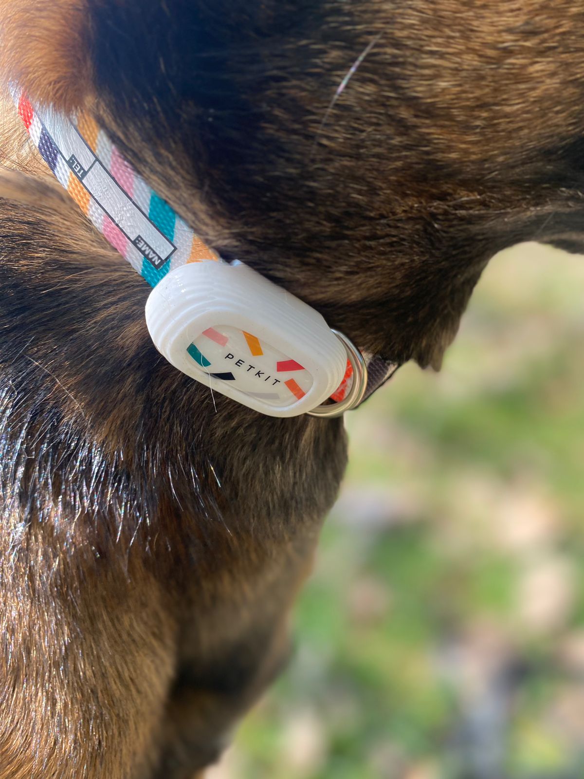 TailFit Pet Fitness & Activity Tracker